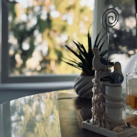 Dva Galebaa Sarajevo