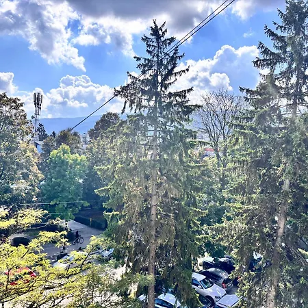 Dva Galebaa 公寓 *